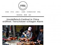 Bild zum Artikel: Hundefleisch-Festival in China eröffnet: Tierschützer schlagen Alarm