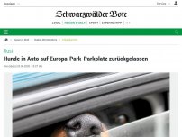 Bild zum Artikel: Rust: Hunde in Auto auf Europa-Park-Parkplatz zurückgelassen