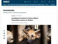 Bild zum Artikel: Hundefleisch-Festival in China eröffnet – Tierschützer warnen vor Risiken