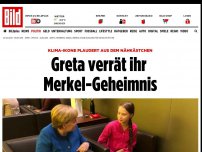 Bild zum Artikel: Klima-Ikone Greta Thunberg (17) - Angela Merkel stand Schlange für ein Selfie mit ihr