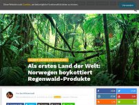 Bild zum Artikel: Als erstes Land der Welt: Norwegen boykottiert Regenwald-Produkte