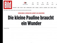 Bild zum Artikel: Mädchen hat Leukämie - Die kleine Pauline braucht ein Wunder