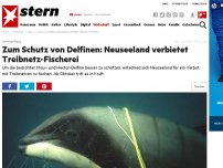 Bild zum Artikel: Artenschutz: Zum Schutz von Delfinen: Neuseeland verbietet Treibnetz-Fischerei