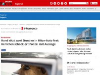 Bild zum Artikel: Schweinfurt - Gerolzhofen: Hund sitzt zwei Stunden in Hitze-Auto fest  Herrchen schockt mit Aussage
