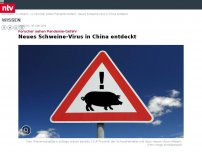 Bild zum Artikel: Forscher sehen Pandemie-Gefahr: Neues Schweine-Virus in China entdeckt