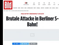 Bild zum Artikel: Frau bat verzweifelt um Hilfe - Brutale Attacke in Berliner S-Bahn!