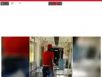 Bild zum Artikel: Brutale Attacke in Berliner S-Bahn – Frau bittet verzweifelt um Hilfe