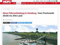 Bild zum Artikel: Neue Fährverbindung in Hamburg: Vom Fischmarkt direkt ins Alte Land