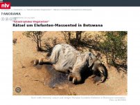 Bild zum Artikel: 'Katastrophales Wegsterben': Mysteriöses Massensterben von Elefanten in Botswana