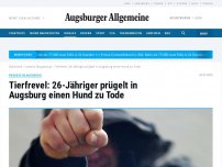 Bild zum Artikel: Tierfrevel: 26-Jähriger prügelt in Augsburg einen Hund zu Tode