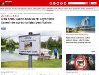 Bild zum Artikel: „Der Fuß ist noch dran“ - Frau beim Baden attackiert: Bayerische Gemeinde warnt vor bissigen Fischen