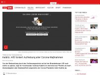 Bild zum Artikel: 'Politik am See'-Sommerinterview mit Andreas Kalbitz: AfD fordert Aufhebung aller Corona-Maßnahmen