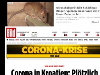 Bild zum Artikel: Urlaub geplant? - Corona in Kroatien: Plötzlich 232 Prozent mehr Fälle!