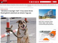 Bild zum Artikel: Polizei ermittelt - 'Wirklich trauriger Fall': Frau setzt ihren Hund gleich zweimal an einem Tag aus
