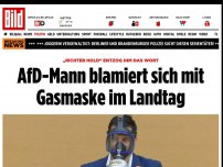 Bild zum Artikel: „Richter Hold“ entzog ihm das Wort - AfD-Mann blamiert sich mit Gasmaske im Landtag