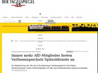 Bild zum Artikel: Immer mehr AfD-Mitglieder bieten Verfassungsschutz Spitzeldienste an