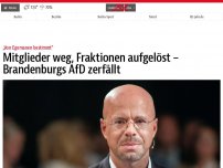 Bild zum Artikel: Mitglieder weg, Fraktionen aufgelöst – Brandenburgs AfD zerfällt