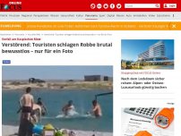 Bild zum Artikel: Vorfall am Kaspischen Meer - Verstörend: Touristen schlagen Robbe brutal bewusstlos – nur für ein Foto