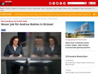 Bild zum Artikel: Polit-Comeback von Ex-SPD-Chefin - Neuer Job für Andrea Nahles in Brüssel