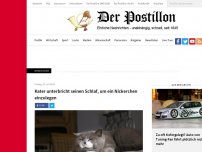 Bild zum Artikel: Kater unterbricht seinen Schlaf, um ein Nickerchen einzulegen