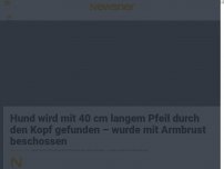 Bild zum Artikel: Hund wird mit 40 cm langem Pfeil durch den Kopf gefunden – wurde mit Armbrust beschossen