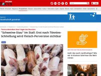 Bild zum Artikel: Tiermastbetreiber über Folgen des Skandals - 'Schweine-Stau' im Stall: Erst nach Tönnies-Schließung wird Fleisch-Perversion sichtbar