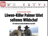 Bild zum Artikel: Er killte auch Cecil den Löwen - US-Zahnarzt schoss seltenes Wildschaf in Mongolei