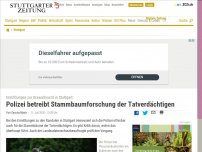 Bild zum Artikel: Ermittlungen zur Krawallnacht in Stuttgart: Polizei betreibt Stammbaumforschung der Tatverdächtigen