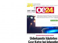Bild zum Artikel: Unbekannte häuteten in Graz Katze bei lebendigem Leib