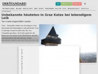 Bild zum Artikel: Unbekannte häuteten in Graz Katze bei lebendigem Leib