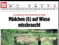 Bild zum Artikel: Der Täter lockte sie mit Blumen - Mädchen (6) auf Wiese missbraucht