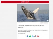 Bild zum Artikel: Gesichtet: Wieder ein Wal am Strand von Kroatien