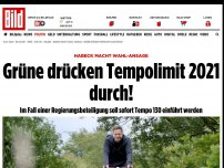 Bild zum Artikel: Grünen-Chef macht Wahl-Ansage - Tempolimit auf Autobahnen kommt 2021!