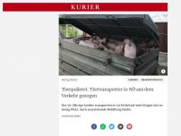 Bild zum Artikel: Tierquälerei: Tiertransporter in NÖ aus dem Verkehr gezogen