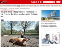 Bild zum Artikel: Friedrich Mülln im Interview - Deutschlands erfolgreichster Tierschützer: '40 Prozent der Tiere wachen beim Zerlegen auf'