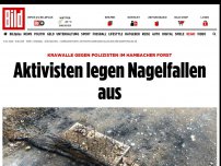 Bild zum Artikel: Krawalle im Hambacher Forst - Chaoten legen Nagelfallen aus und greifen Polizei an