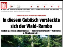 Bild zum Artikel: Nach Großfahndung in Baden-Württemberg - Wald-Rambo endlich gefasst!