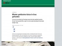 Bild zum Artikel: Wieder gehäutete Katze in Graz gefunden