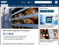 Bild zum Artikel: NRW verbietet Langstrecken-Tiertransporte