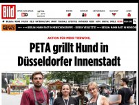 Bild zum Artikel: Aktion für mehr Tierwohl - PETA grillt Hund in Düsseldorfer Innenstadt