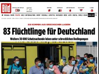 Bild zum Artikel: Aus griechischen Lagern - 83 Flüchtlinge für Deutschland