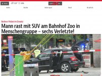 Bild zum Artikel: Mann rast am Berliner Bahnhof Zoo in Menschengruppe – sieben Verletzte!