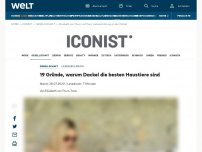 Bild zum Artikel: 19 Gründe, warum Dackel die besten Haustiere sind