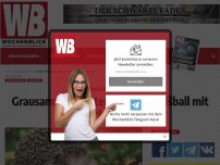 Bild zum Artikel: Grausam: Migranten spielten Fußball mit verletztem Igel