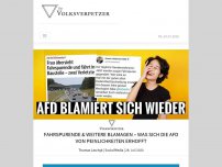 Bild zum Artikel: Fahrspurende & weitere Blamagen – was sich die AfD von Peinlichkeiten erhofft