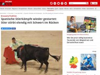 Bild zum Artikel: Grausame Tradition - Spanische Stierkämpfe wieder gestartet: Stier stirbt elendig mit Schwert im Rücken