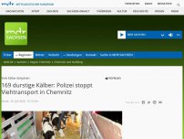 Bild zum Artikel: Polizei zieht Viehtransport in Chemnitz aus dem Verkehr