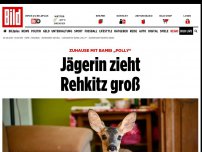 Bild zum Artikel: Zuhause mit Bambi „Polly“ - Jägerin zieht Rehkitz groß