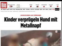Bild zum Artikel: Schockvideo aus Thüringen - Kinder verprügeln Hund mit Metallnapf