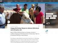 Bild zum Artikel: Happy Birthday! Bayerns älteste Milchkuh wird 25 Jahre alt